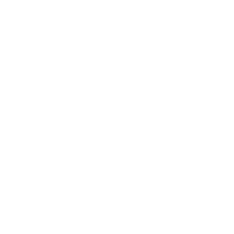 SDG 11 Image
